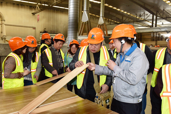 聚焦木制林產(chǎn)品專家學(xué)者、媒體走進(jìn)大亞圣象考察采風(fēng)
