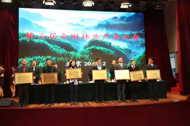 第三屆全國林業(yè)產(chǎn)業(yè)大會(huì)在京召開,大亞集團(tuán)再獲多項(xiàng)殊榮